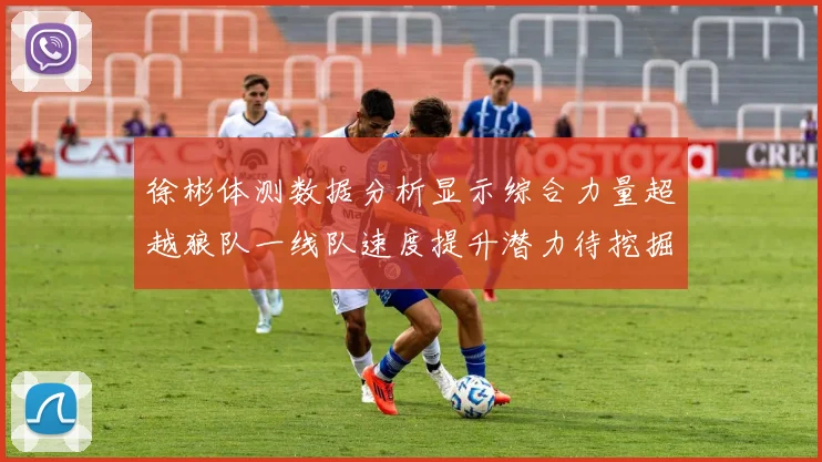 徐彬体测数据分析显示综合力量超越狼队一线队速度提升潜力待挖掘