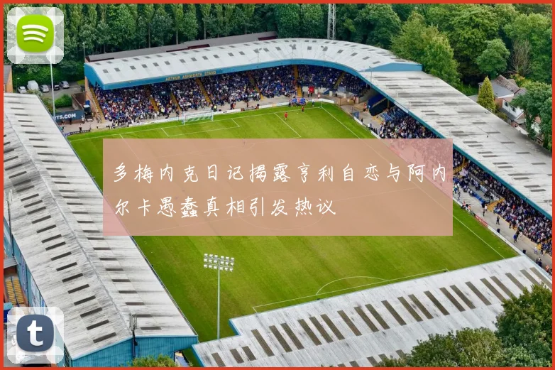 多梅内克日记揭露亨利自恋与阿内尔卡愚蠢真相引发热议
