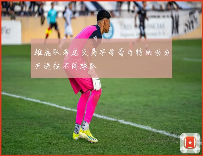 雄鹿队考虑交易字母哥与特纳或分开送往不同球队